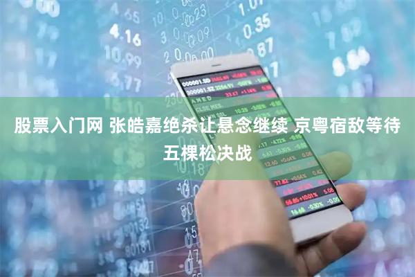 股票入门网 张皓嘉绝杀让悬念继续 京粤宿敌等待五棵松决战