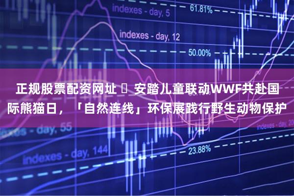 正规股票配资网址 ​安踏儿童联动WWF共赴国际熊猫日，「自然连线」环保展践行野生动物保护